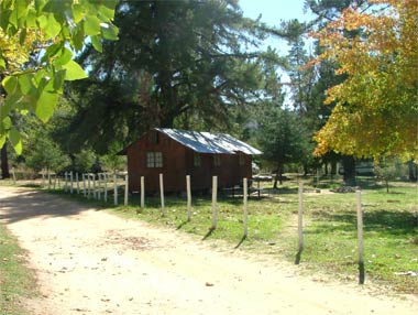 Beaverlac β image 2