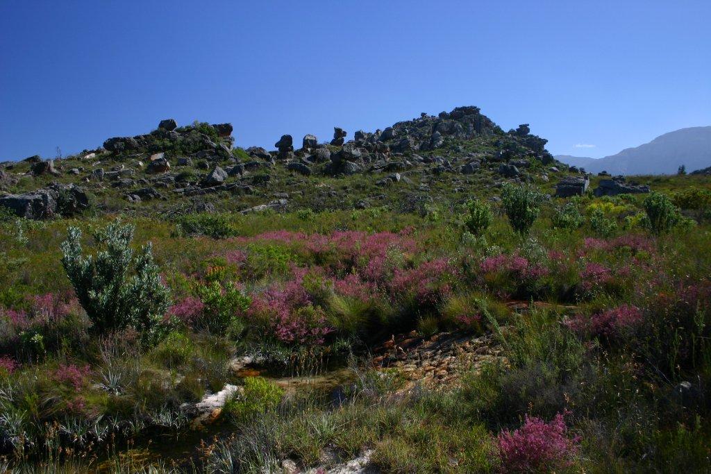 Beaverlac β image 7