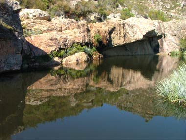 Beaverlac β image 8