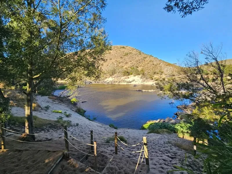 Fish Eagle River Lodge β image 1