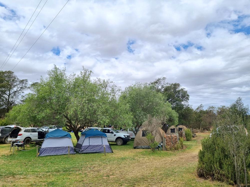 Fish Eagle River Lodge β image 5